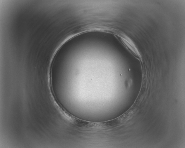 X0000074930811200609151937