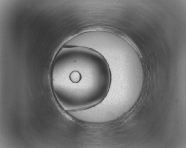 X0000074930813200609151937