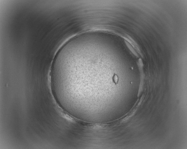 X0000074930814200609151937