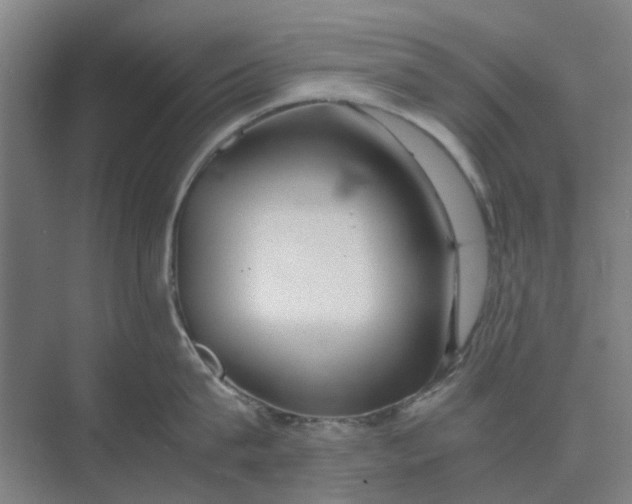 X0000074930815200609151937