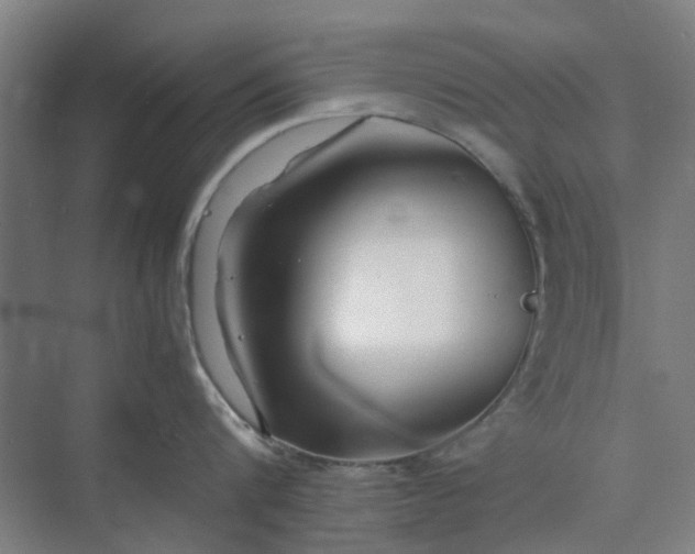 X0000074930816200609151937