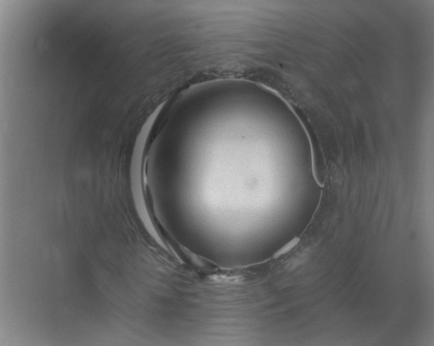 X0000074930818200609151936