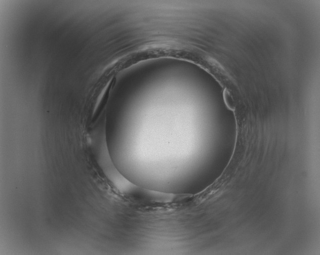 X0000074930822200609151936