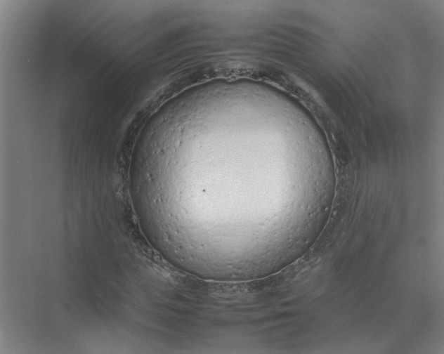 X0000074930823200609151936