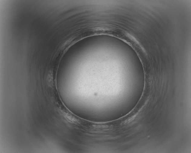 X0000074930825200609151936