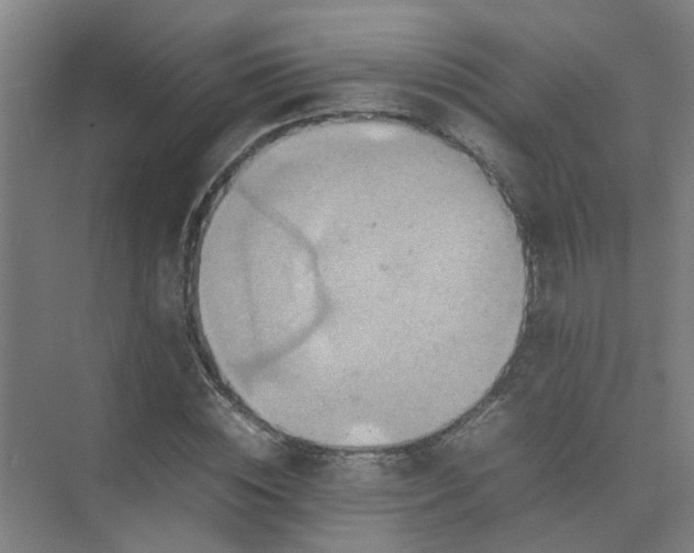 X0000074930828200609151936