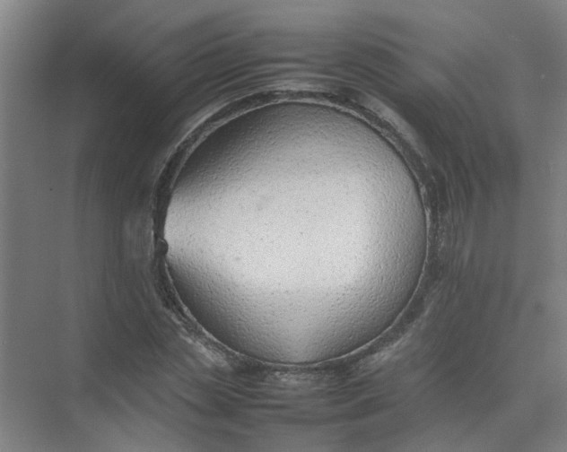 X0000074930829200609151936