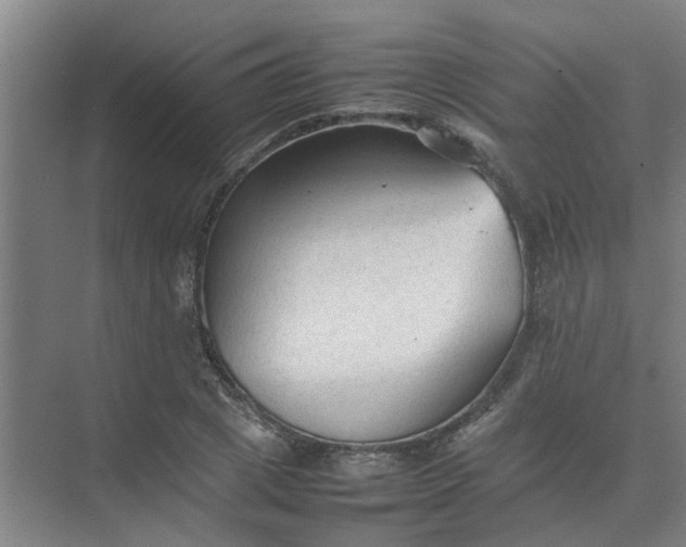 X0000074930833200609151936