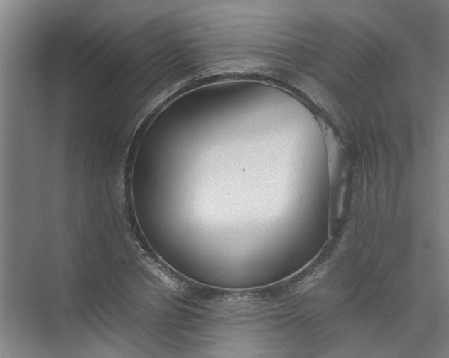 X0000074930834200609151936