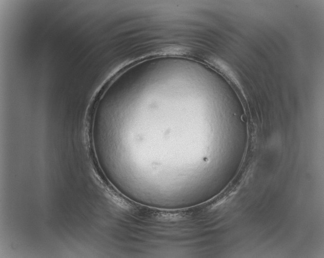 X0000074930835200609151936