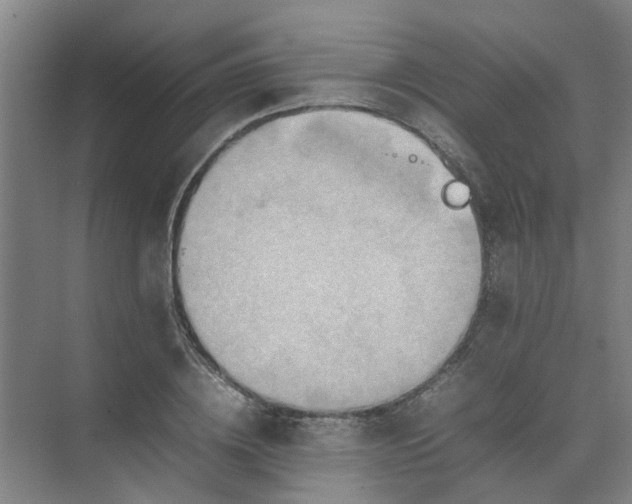 X0000074930836200609151937