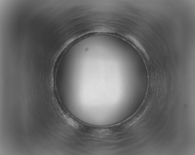 X0000074930837200609151937