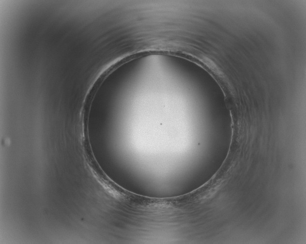 X0000074930838200609151937