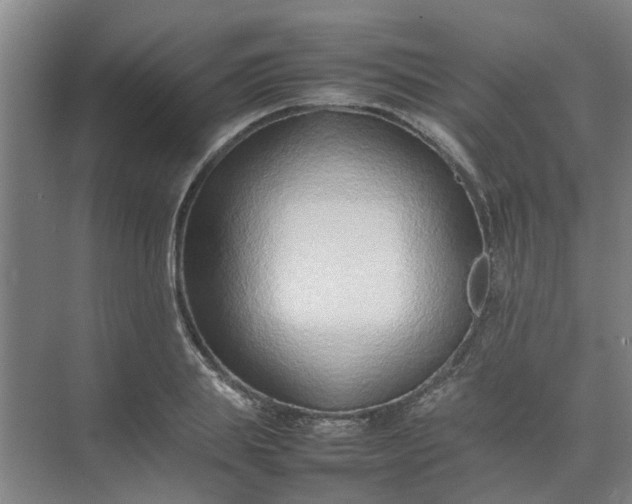 X0000074930839200609151937