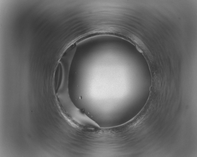 X0000074930842200609151937