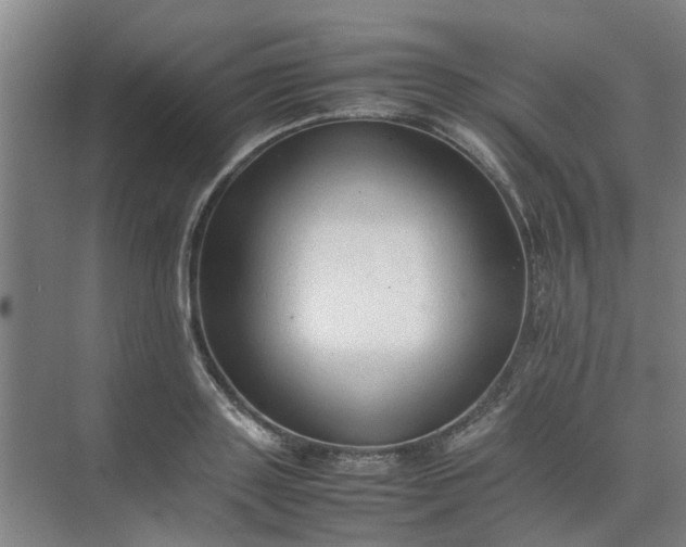 X0000074930843200609151937