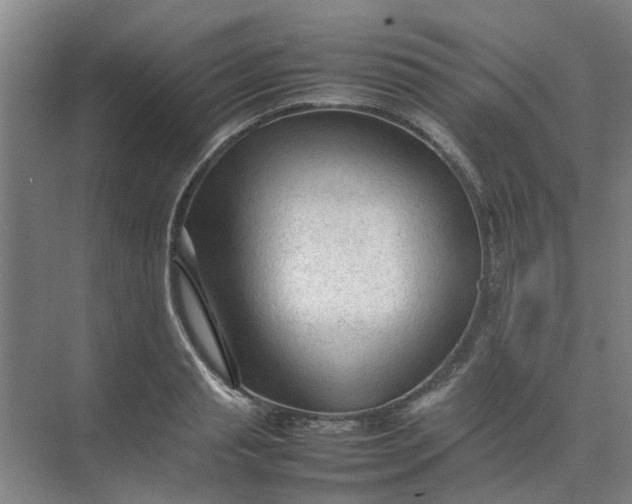 X0000074930845200609151937