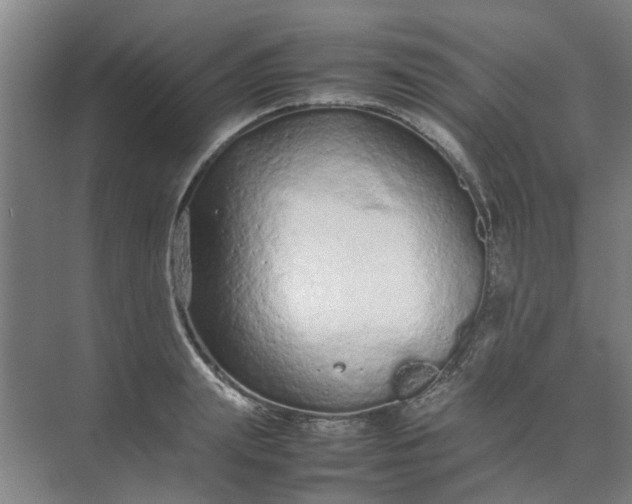 X0000074930847200609151937