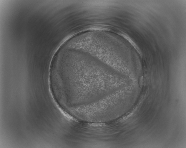 X0000074930853200609151937