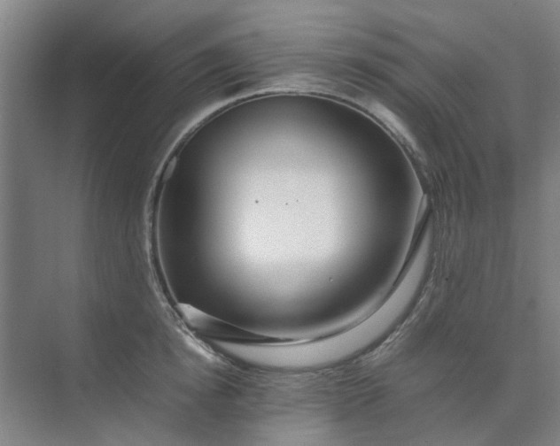 X0000074930854200609151937