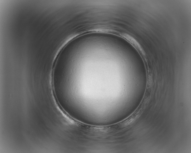 X0000074930855200609151937