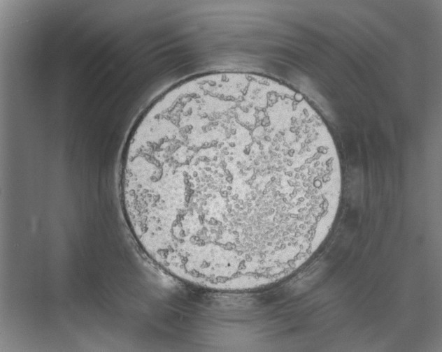 X0000074930856200609151937