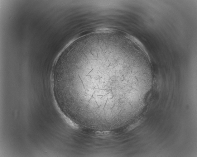 X0000074930859200609151937