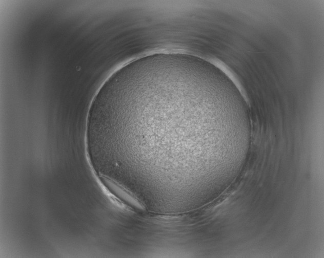 X0000074930861200609151937