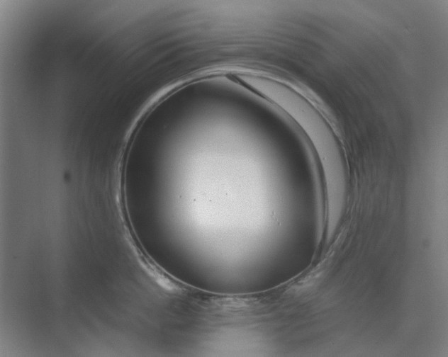 X0000074930862200609151937