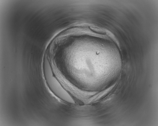 X0000074930863200609151937