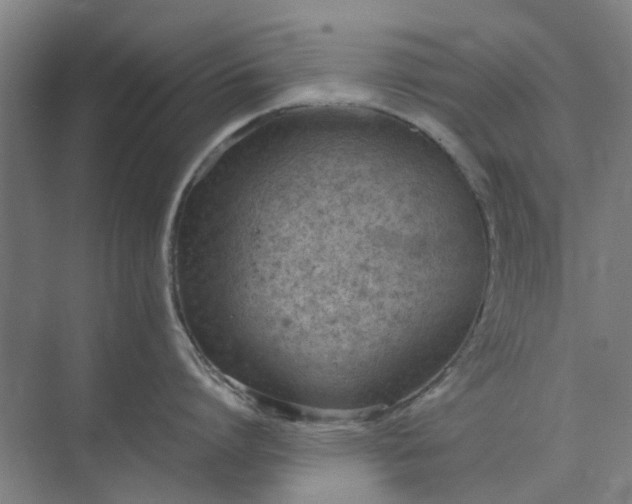 X0000074930864200609151937