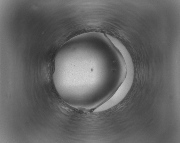 X0000074930868200609151936