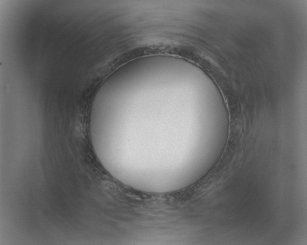 X0000074930869200609151936