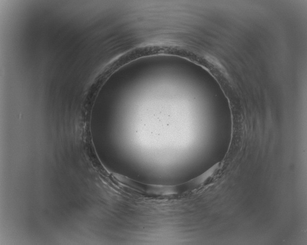 X0000074930872200609151936