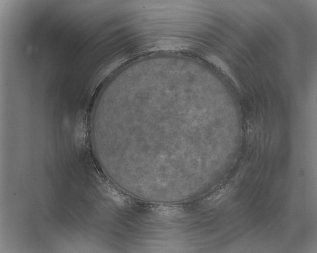 X0000074930874200609151936