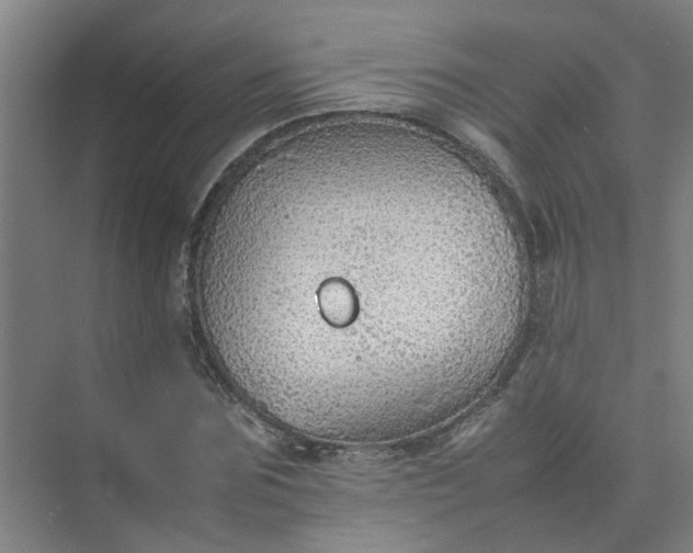 X0000074930875200609151936