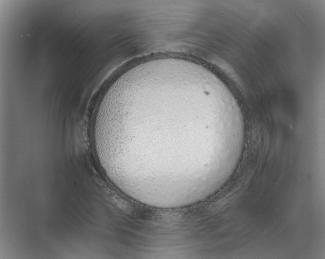 X0000074930878200609151936