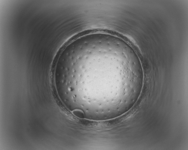 X0000074930879200609151936