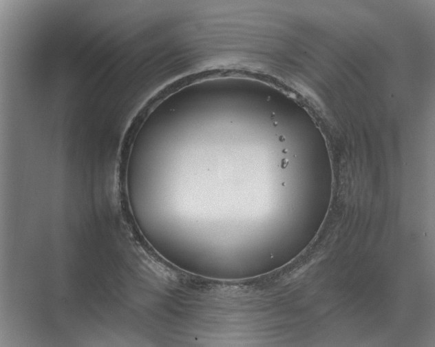 X0000074930880200609151936