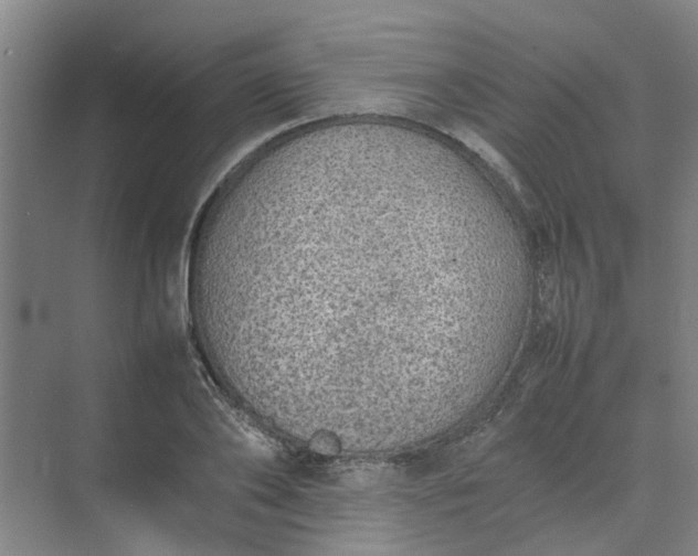 X0000074930886200609151936