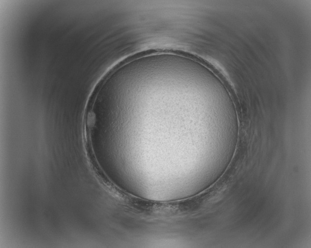 X0000074930887200609151936