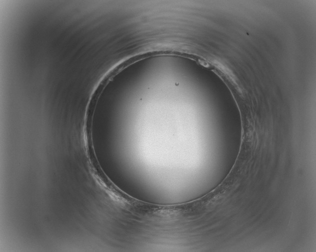 X0000074930888200609151936