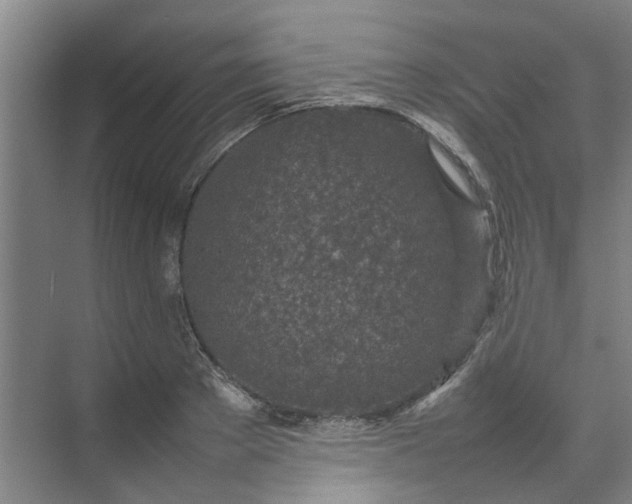 X0000074930889200609151936