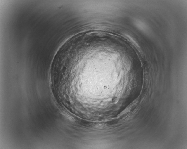 X0000074930891200609151936