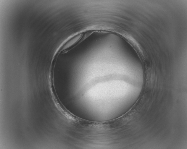 X0000074930896200609151936