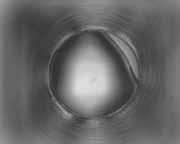 X0000074930898200609151936