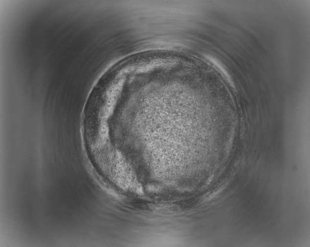 X0000074930899200609151936