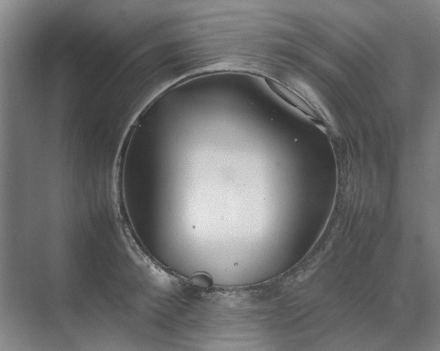 X0000074930900200609151936