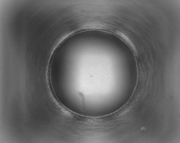 X0000074930901200609151936