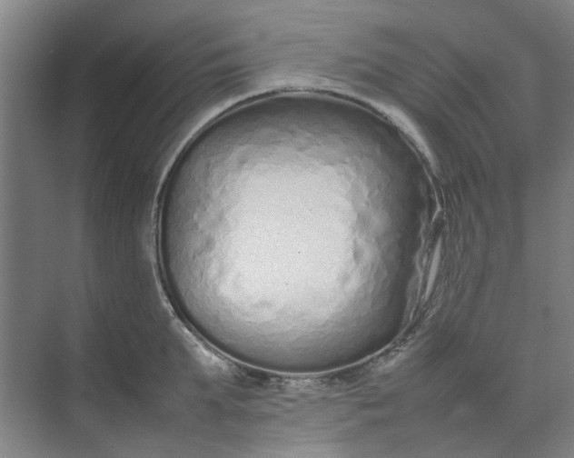 X0000074930903200609151936